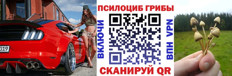 Псилоцибиновые грибы мицелий наркота Петровск